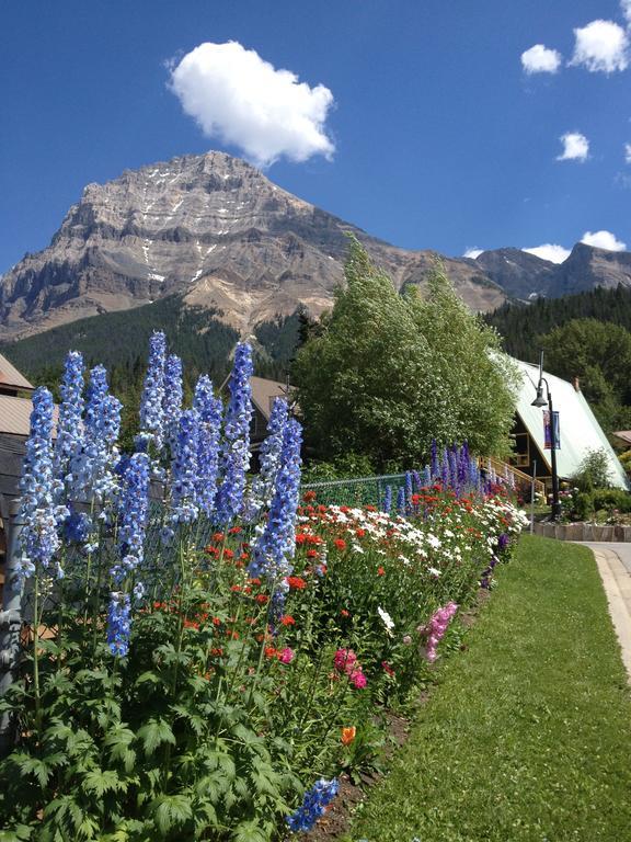 Canadian Rockies - Adults Only Field